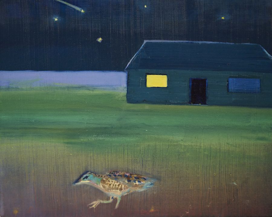 A corncrake walking in the foreground and a house against the night sky in the background..