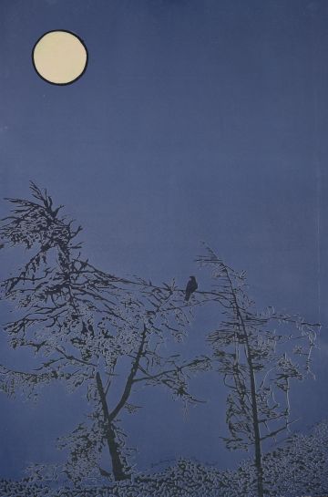 Bird sitting on a branch at night.
