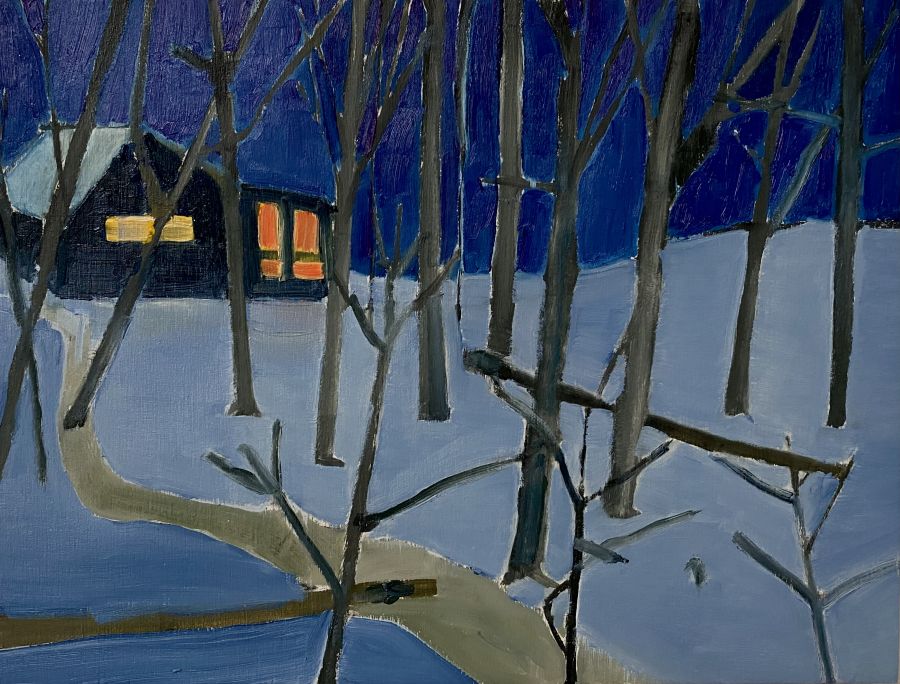A house in the woods at night.